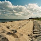 Bei einem Strandspaziergang auf der Insel Langeland im Sommer 2003