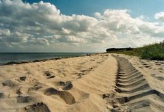 Bei einem Strandspaziergang auf der Insel Langeland im Sommer 2003