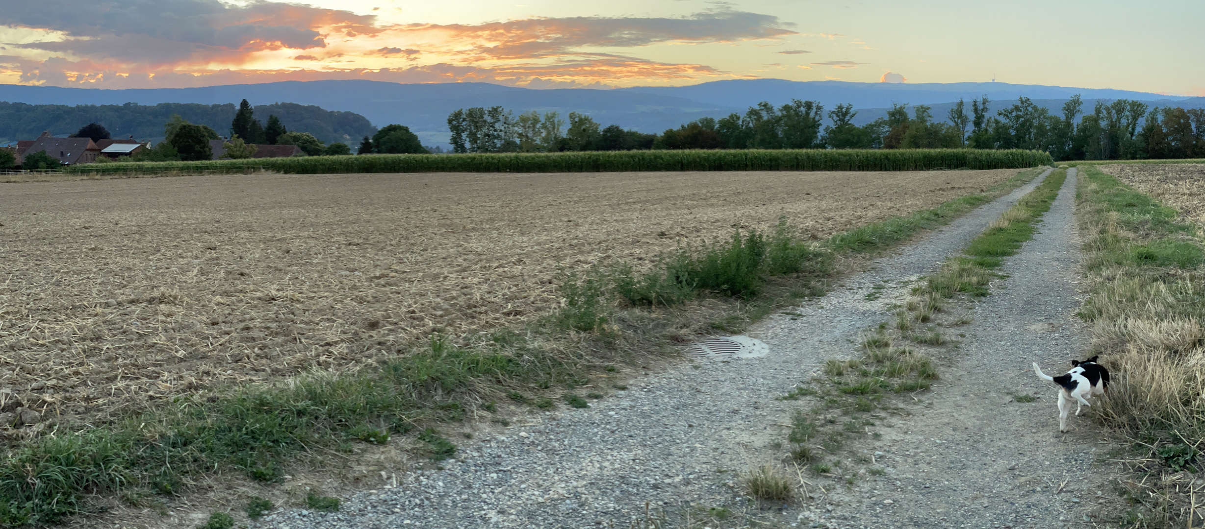 bei einer Panoramaaufnahme..