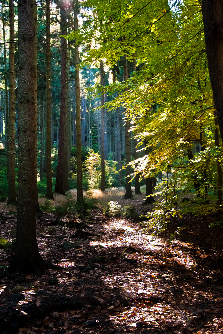 Bei einer Wanderung in der Lausitz