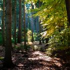 Bei einer Wanderung in der Lausitz