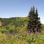 Bei einer Wanderung in schöner Berglandschaft ...