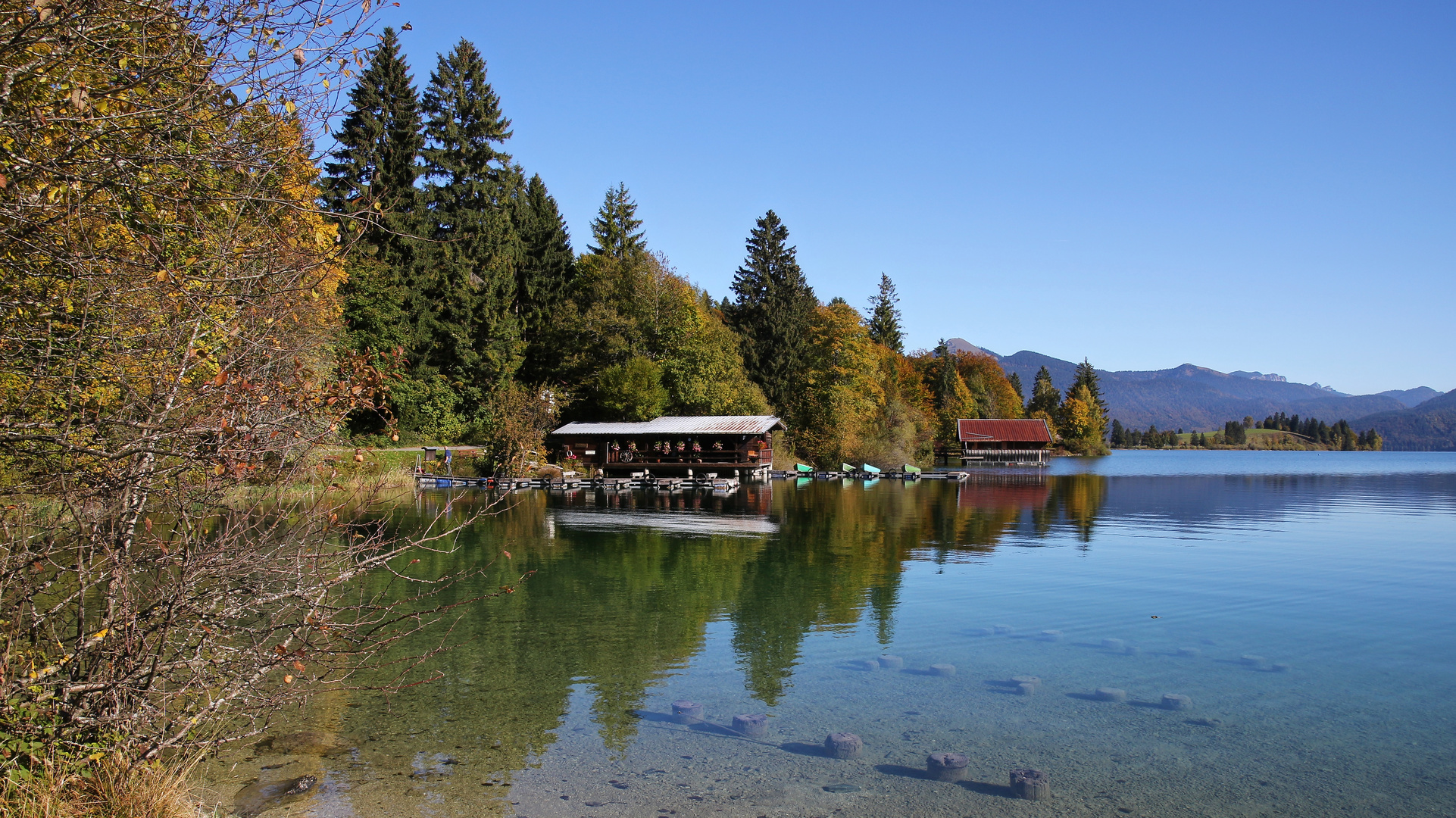 Bei Einsiedl am Walchensee (2021_10_18_8771_ji)