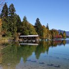 Bei Einsiedl am Walchensee (2021_10_18_8771_ji)