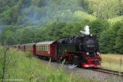 bei Eisfelder Talmühle, 99 7245, Juli 2013