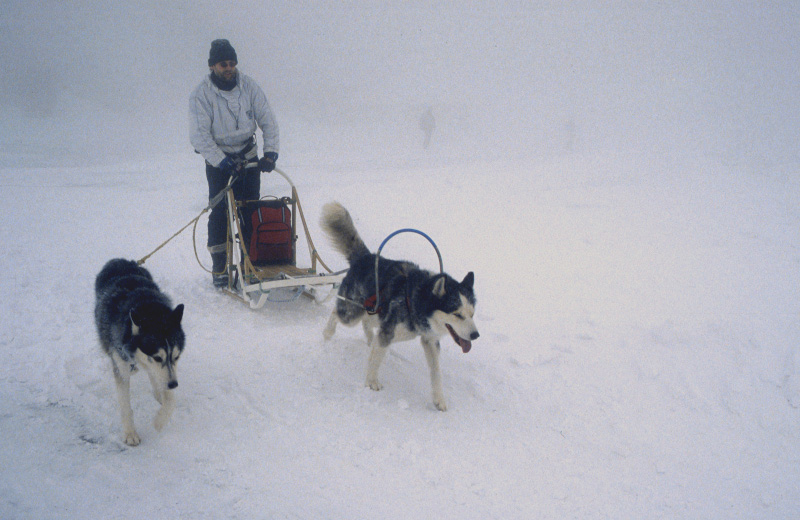 Bei Eisnebel auf dem Brocken