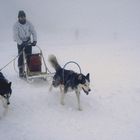 Bei Eisnebel auf dem Brocken