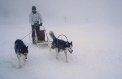 Bei Eisnebel auf dem Brocken