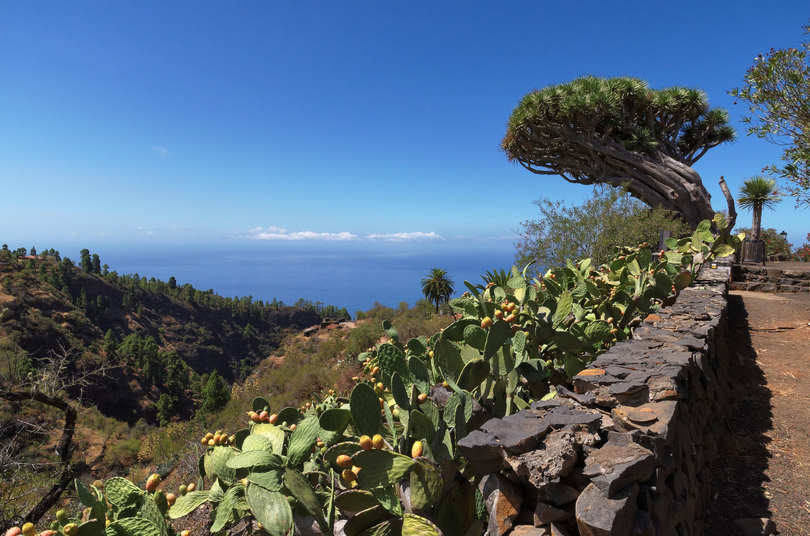 Bei El Roque, La Palma, September 2013