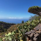 Bei El Roque, La Palma, September 2013