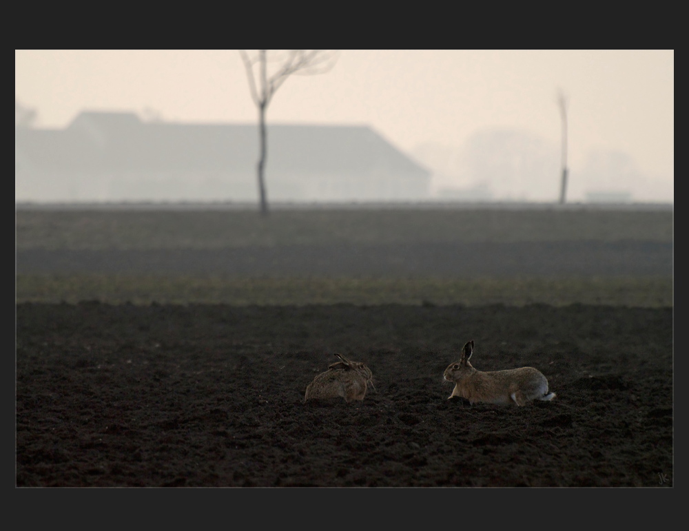 bei familie hase...