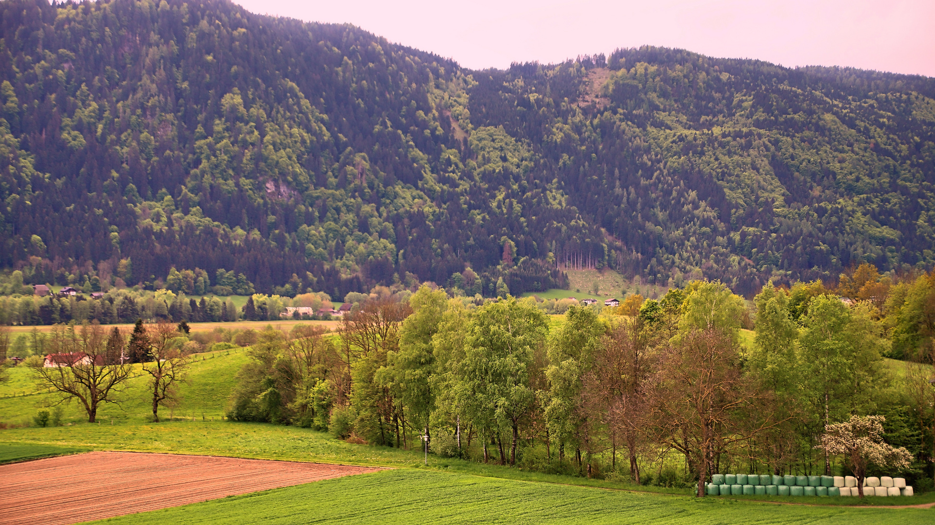 Bei Feldkirchen/Kärnten