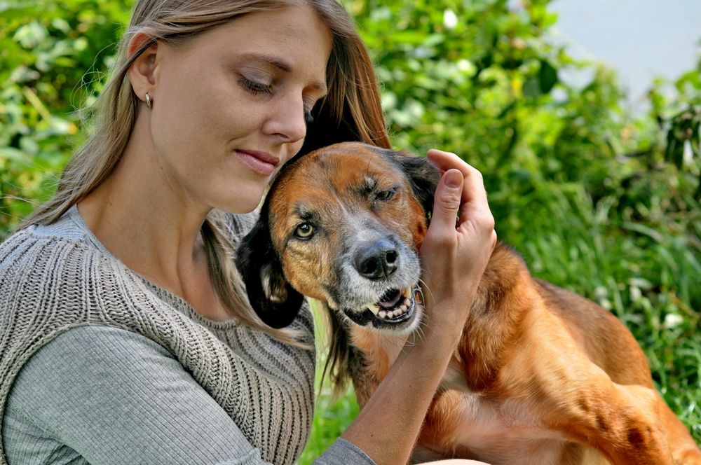 Bei Frauchen drück ich ein Auge zu