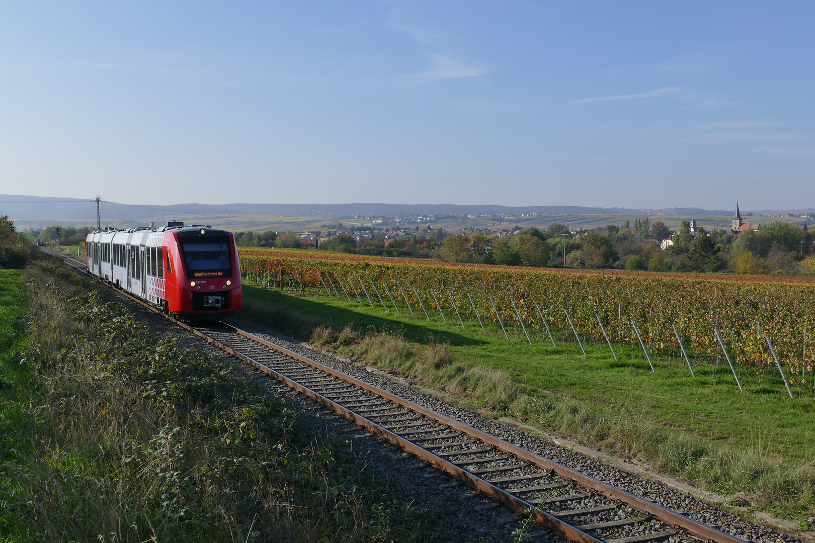 Bei Freinsheim/Pfalz.