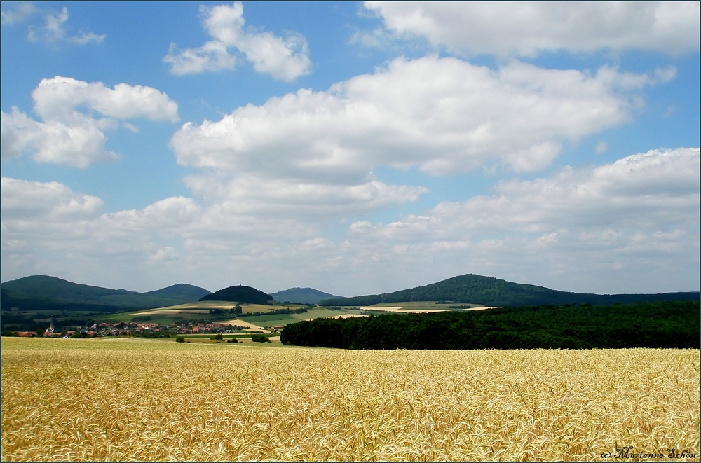 Bei Fulda...heute vor einem Jahr...