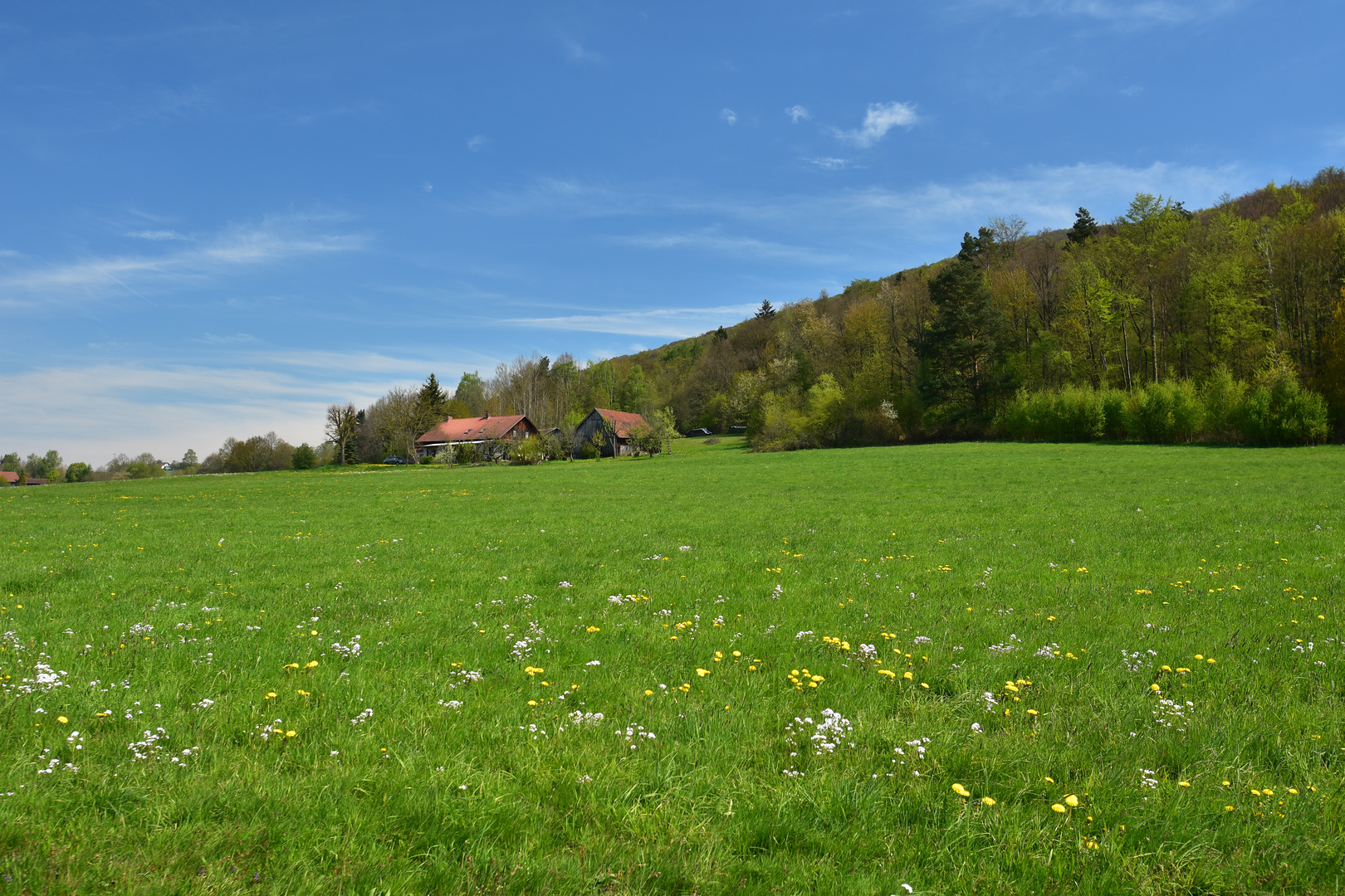 bei Furth im Wald