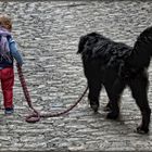 Bei Fuß! - Au pied! ...