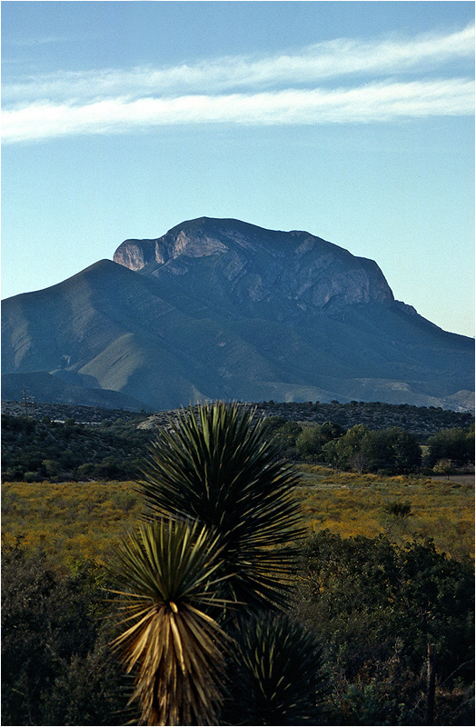 Bei Galeana, Nuevo León, Sierra Madre Occidental