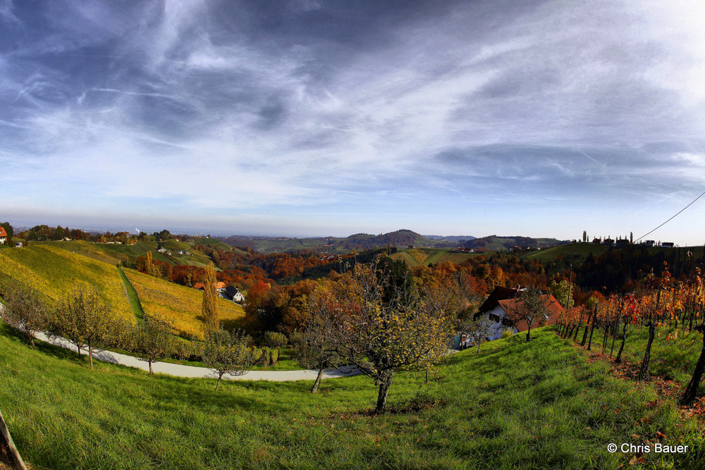 Bei Gamlitz - Süd Steiermark