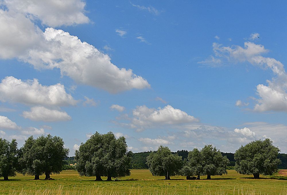 Bei Glienke