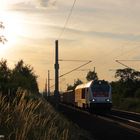 Bei Gotha, 264 004-3, August 2013