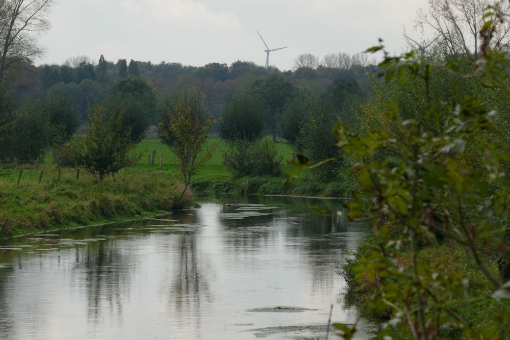 Bei Grefrath/Niederrhein 