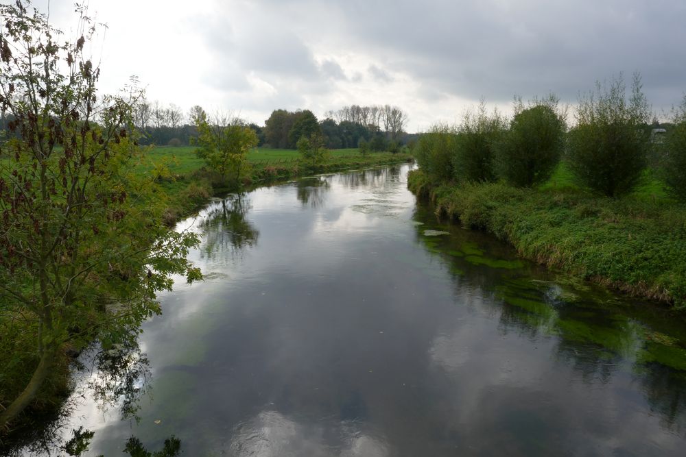 Bei Grefrath/Niederrhein