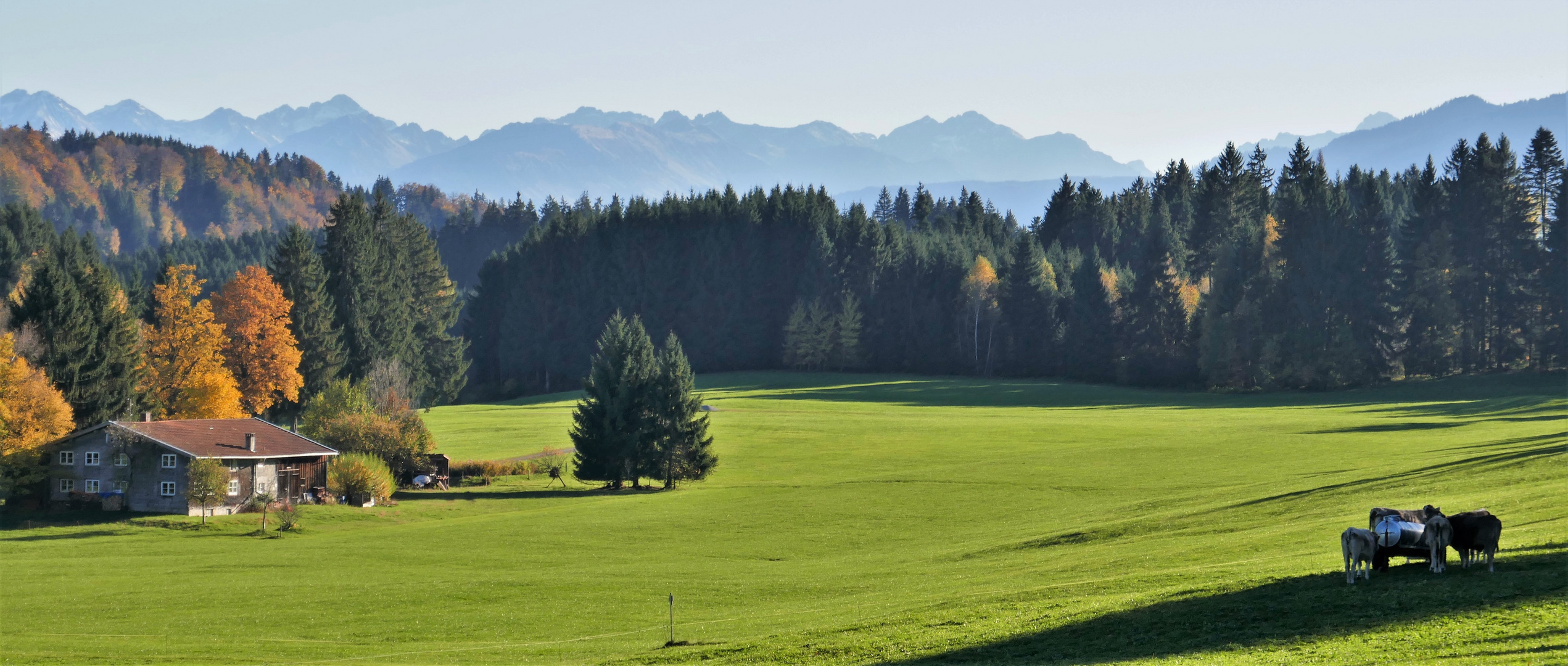 Bei Greggenhofen: Allgäuer Hauptkamm 