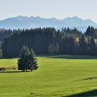 Bei Greggenhofen: Allgäuer Hauptkamm 