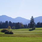 Bei Greggenhofen: Immenstädter Hausberge