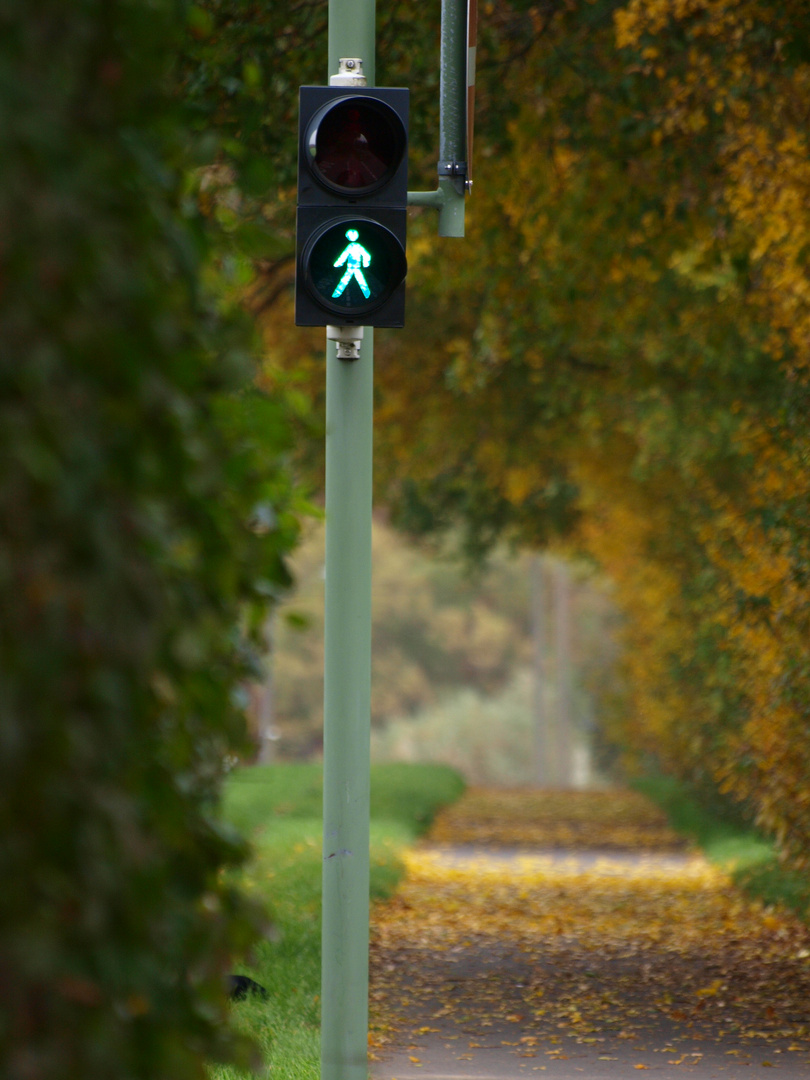 ... bei GRÜN darfst du gehen ...