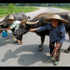 Bei Guilin