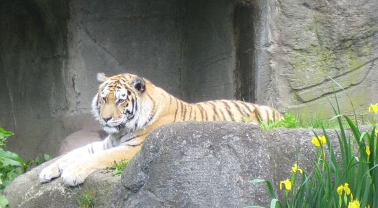 ... bei hagenbeck ...