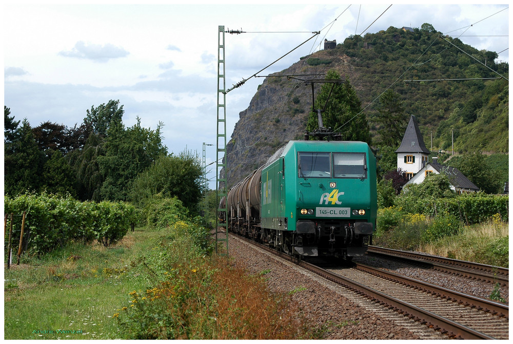 Bei Hammerstein am Rhein