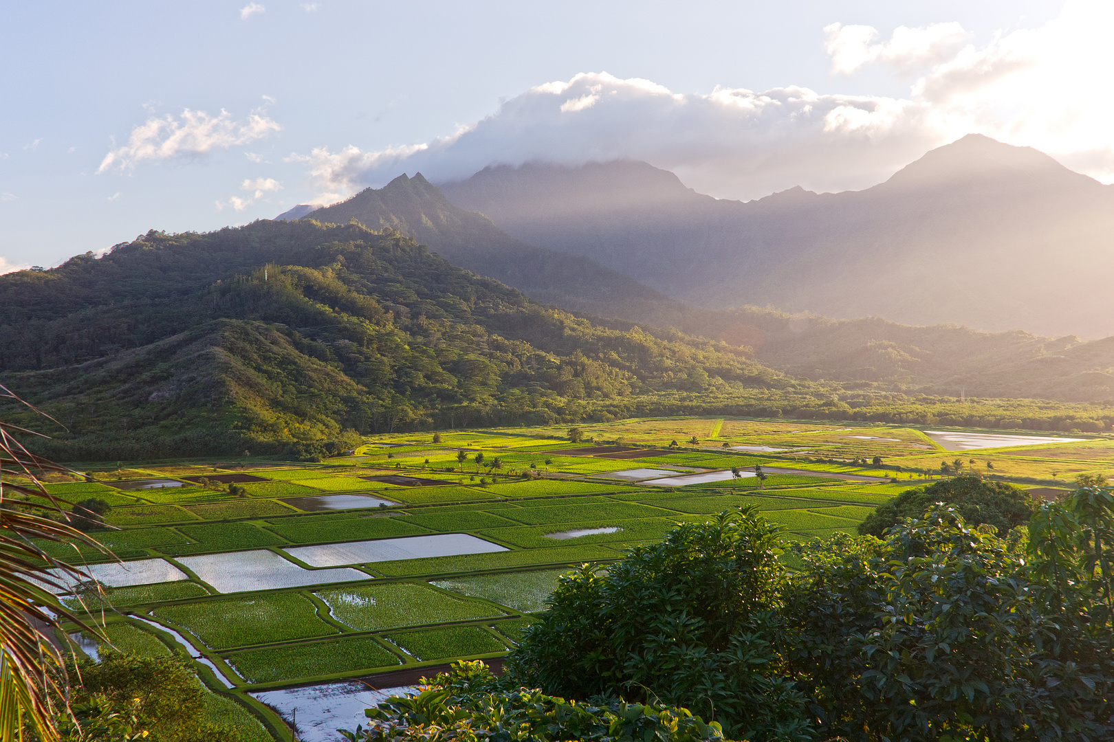 Bei Hanalei