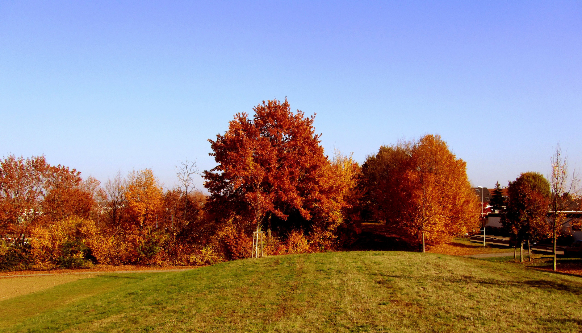 bei herrlichem Wetter