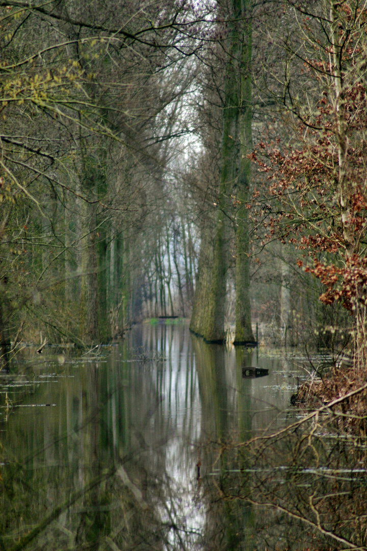 bei Hochwasser