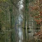 bei Hochwasser