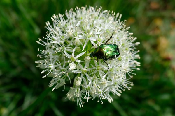 bei ihm läuft's rund