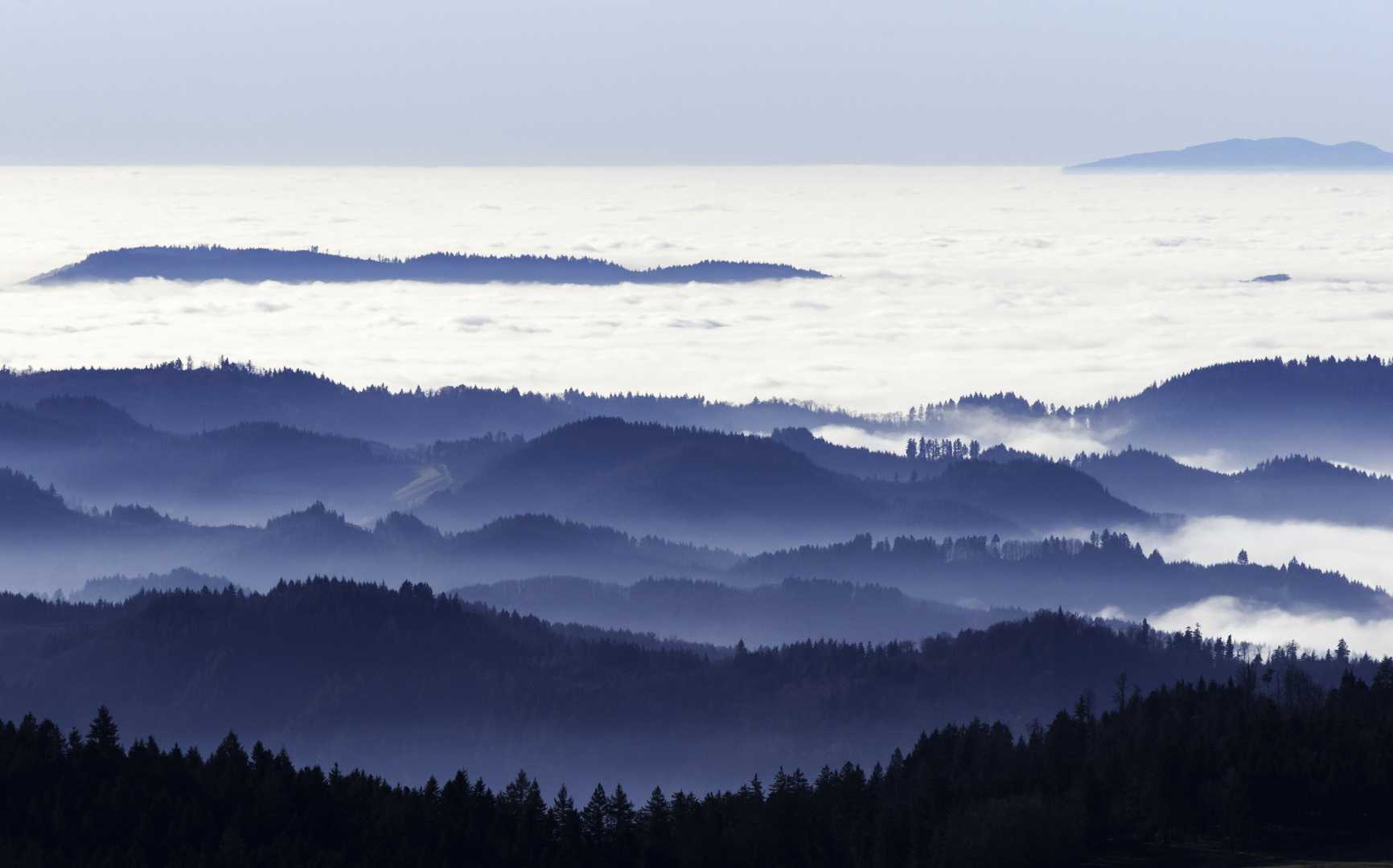 Bei Inversion im Schwarzwald