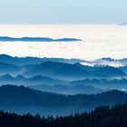 Bei Inversion im Schwarzwald