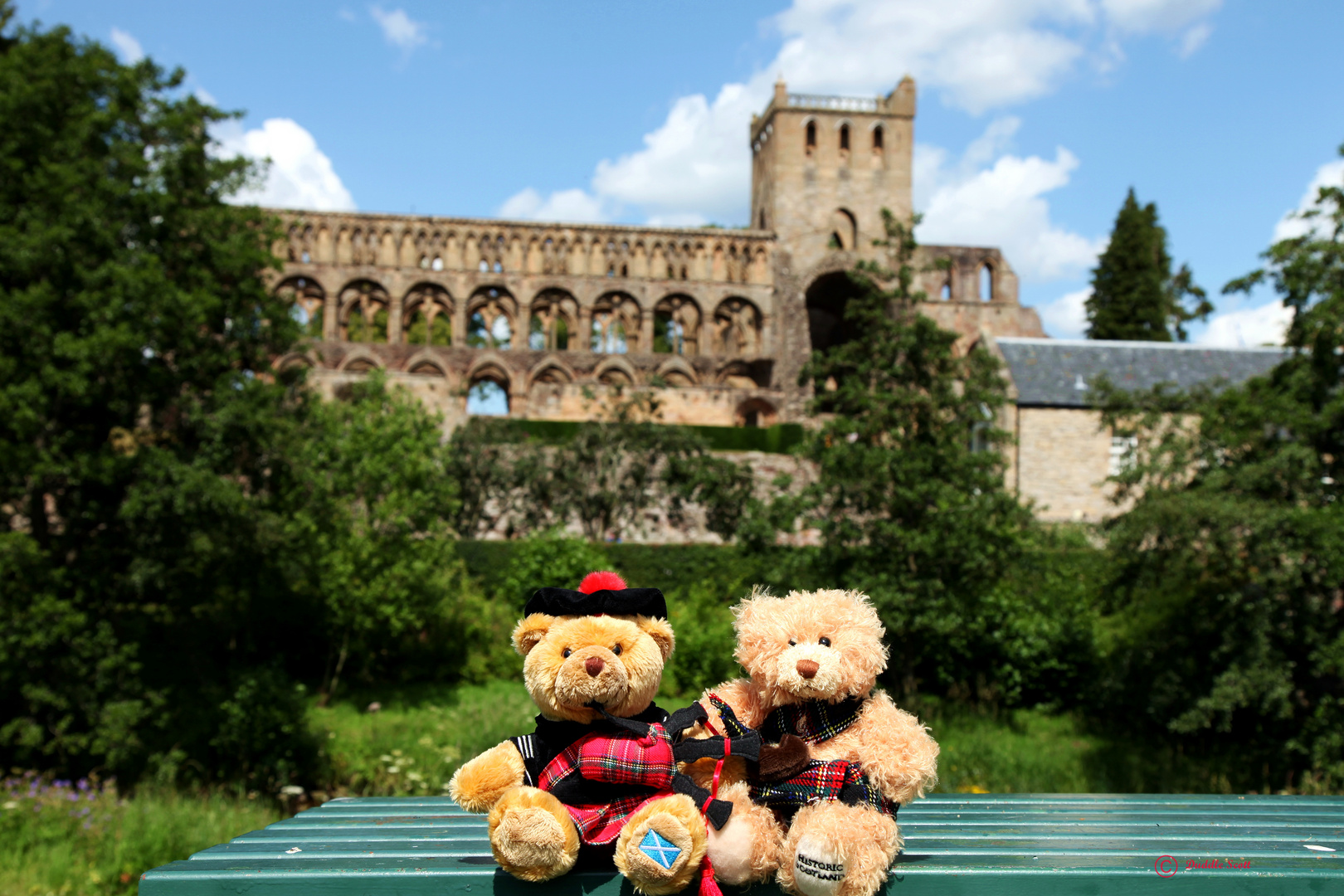 Bei Jedburgh Abbey