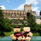 Bei Jedburgh Abbey