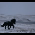 Bei Kälte, Schnee und Wind