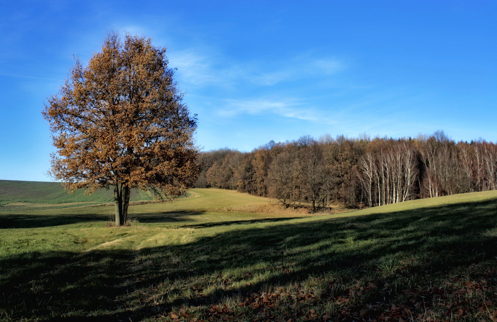 bei kaiserwetter