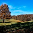 bei kaiserwetter