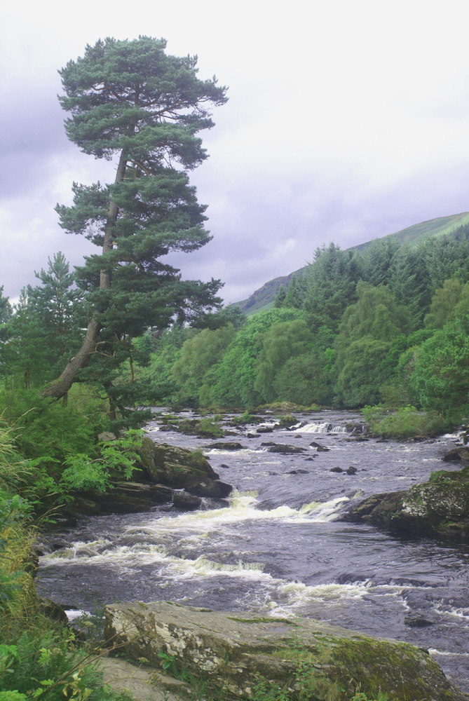 Bei Kilin am Loch Tay