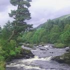 Bei Kilin am Loch Tay