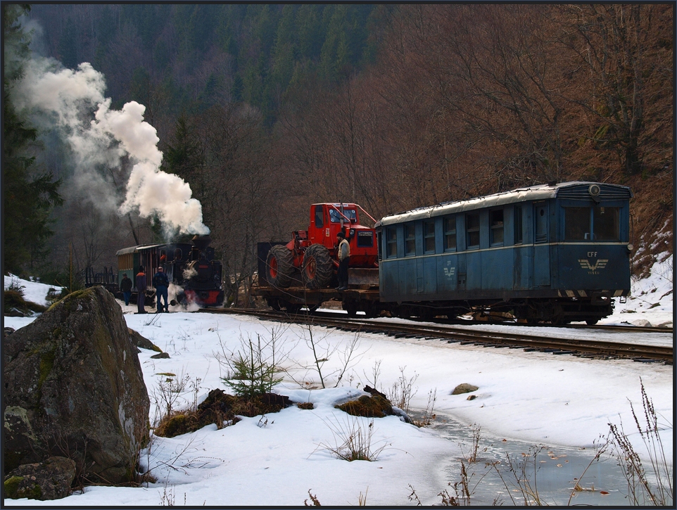 Bei Kilometer 15 im Valea Vaserului (Wassertal)