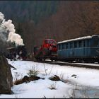 Bei Kilometer 15 im Valea Vaserului (Wassertal)